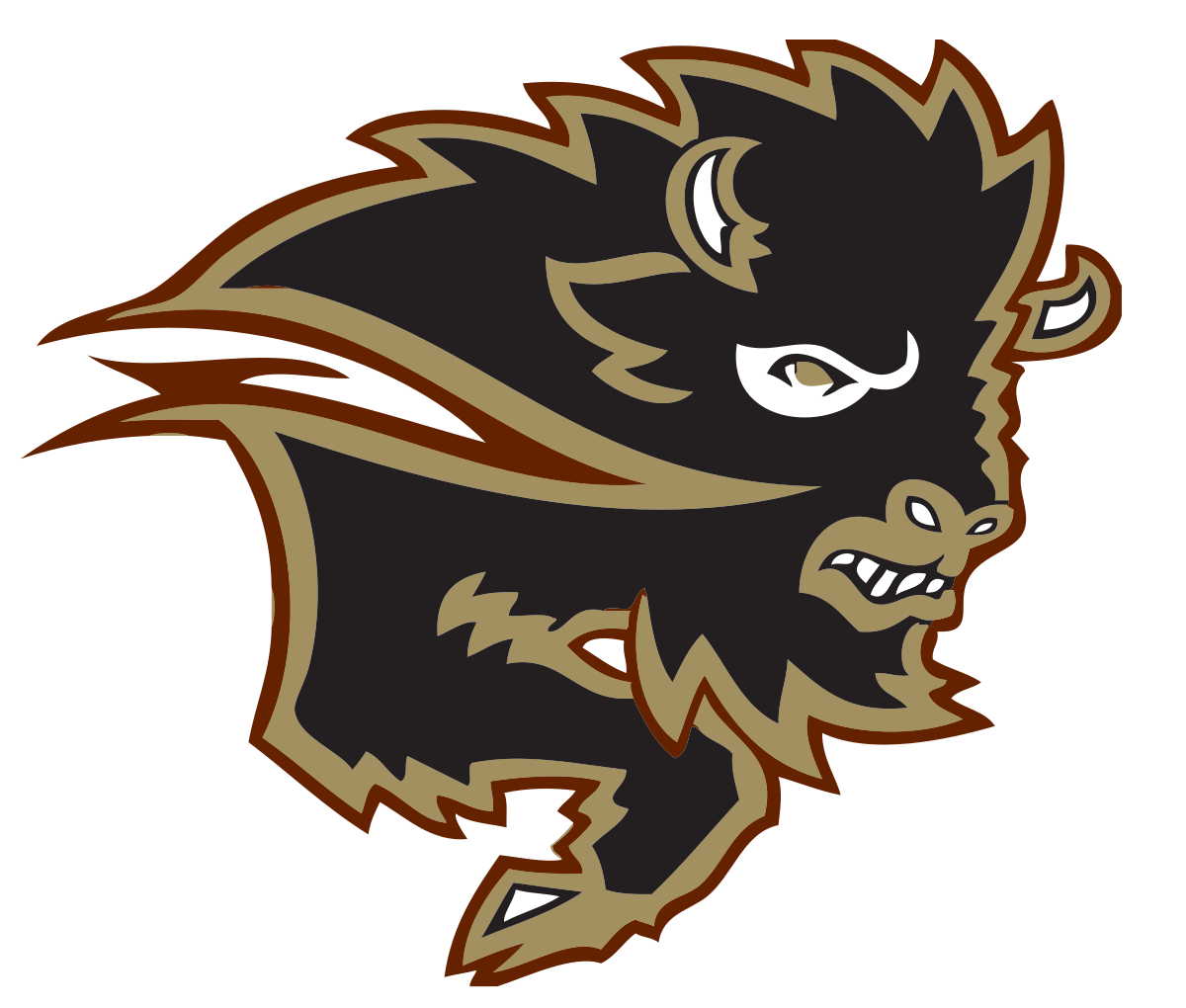 Manitoba Bisons