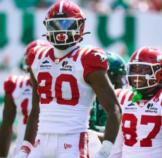 Elite Division image